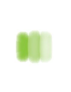 COULEUR A PEINDRE VERT HERBE TEMP. MAXI : 1250°C - D051/N