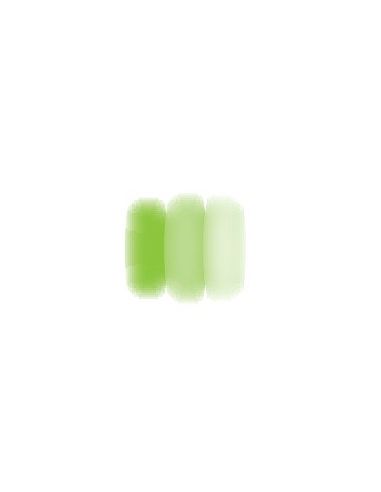 COULEUR A PEINDRE VERT HERBE TEMP. MAXI : 1250°C - D051/N