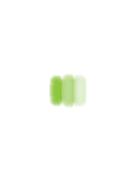 COULEUR A PEINDRE VERT HERBE TEMP. MAXI : 1250°C - D051/N
