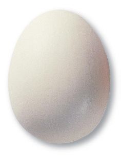 Email transparent mat pour faïence KC330 | TERRACOLOR