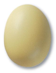 Email mat Vanille KC331 |TERRA COLOR