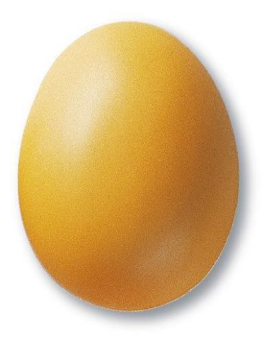 Email mat Jaune paille KC334 | TERRA COLOR