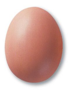 Email mat Vieux rose KC342 | TERRA COLOR