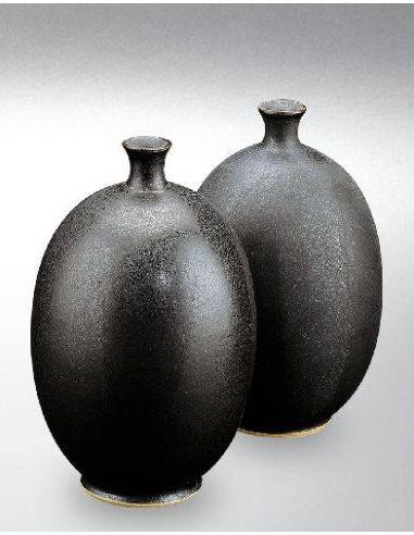 Email pour grès et porcelaine Barracuda KG754 |...