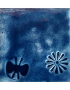 sur faïence blanche  