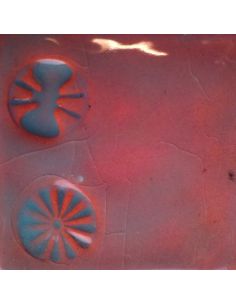 sur faïence blanche   2