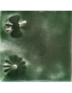 sur faïence blanche  