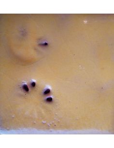 sur faïence blanche   2