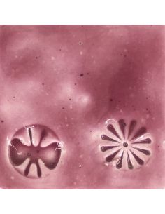 sur faïence blanche