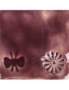 sur faïence blanche