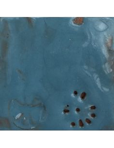 sur faïence blanche 2