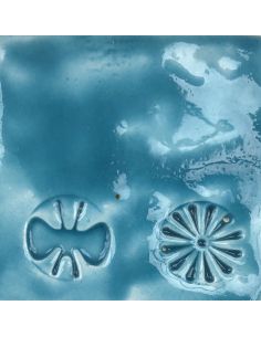 sur faïence blanche