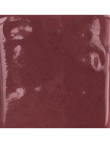 sur faïence blanche