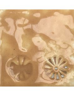 sur faïence blanche