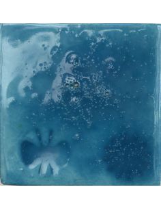 sur faïence blanche