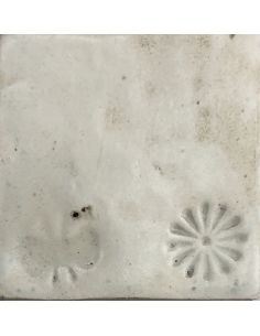 sur faïence blanche