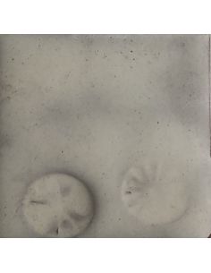 sur faïence blanche 2