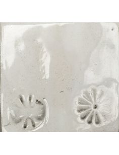 sur faïence blanche