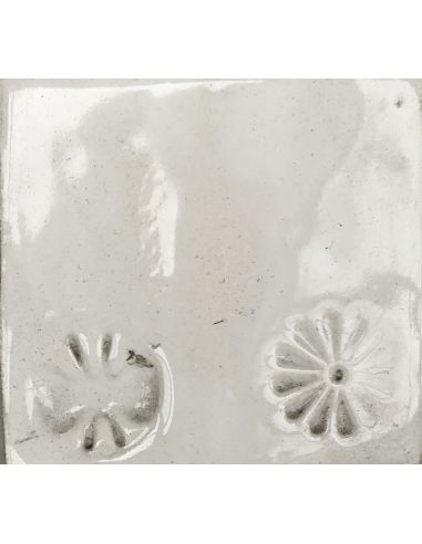 sur faïence blanche