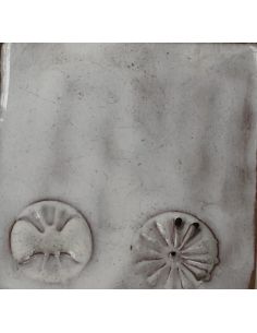 sur faïence blanche 2