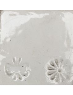 sur faïence blanche