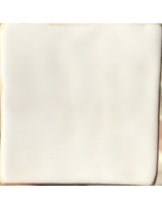 Email blanc brillant PR115 | PRODESCO 2