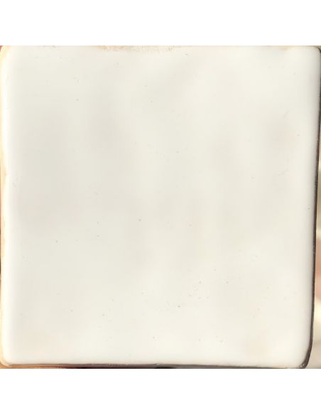 sur faïence blanche