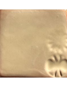 Sur faïence blanche 2