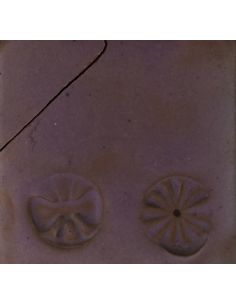 Sur faïence blanche 2