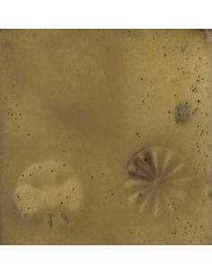 Sur faïence blanche 2