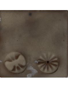 Sur faïence blanche 2