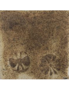 Sur faïence blanche