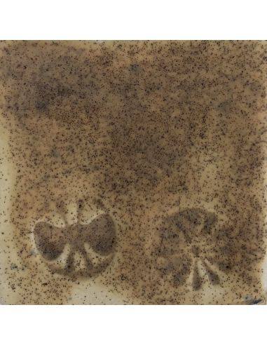 Sur faïence blanche