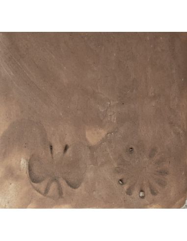 Sur faïence blanche