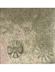 Sur faïence blanche