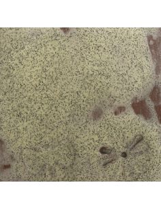 Sur faïence blanche 2