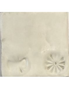 Couverte transparente mat pour faïence G1005 | PRODESCO 2