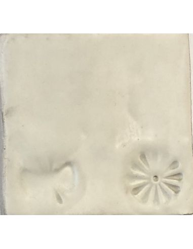 Sur faïence blanche