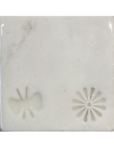 sur faïence blanche