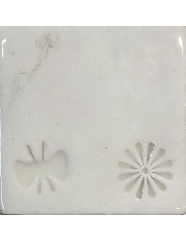 sur faïence blanche