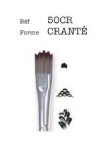 PINCEAU CRÉATIF CRANTÉ