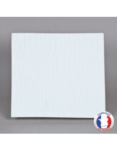 PLAQUE VEINE BISCUIT