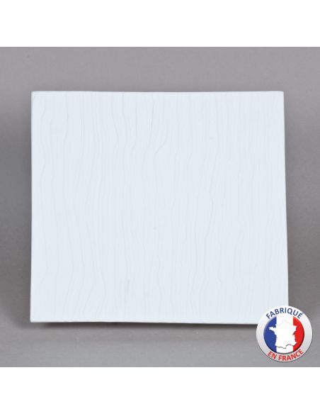 PLAQUE VEINE BISCUIT