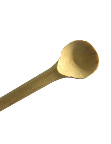 CUILLERE A SEL