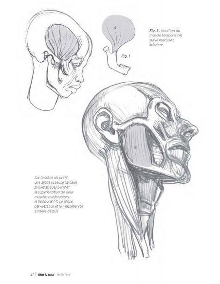 MORPHO/ANATOMIE ARTISTIQUE