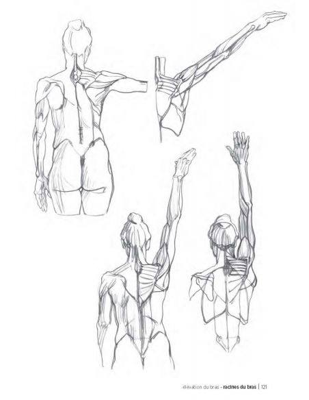 MORPHO/ANATOMIE ARTISTIQUE