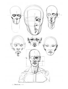 MORPHO/FORMES SYNTHETIQUES 2