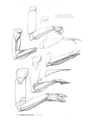 MORPHO/FORMES SYNTHETIQUES