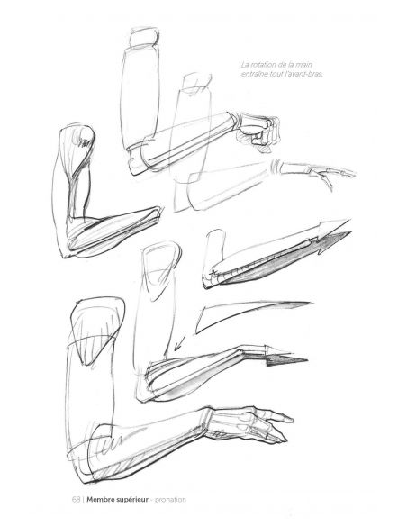 MORPHO/FORMES SYNTHETIQUES