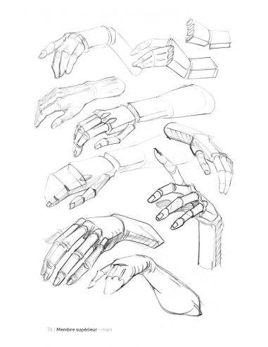 MORPHO/FORMES SYNTHETIQUES
